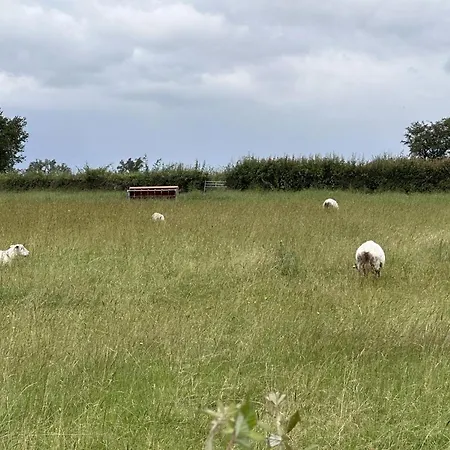 De L'espinasse : Charme Bucolique, Animaux Acceptes - Fr-1-489-535 Ferienhaus