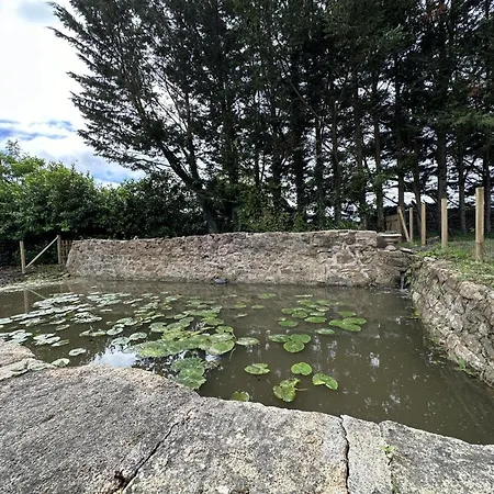 Ferienhaus De L'espinasse : Charme Bucolique, Animaux Acceptes - Fr-1-489-535 Bourbon-lʼArchambault