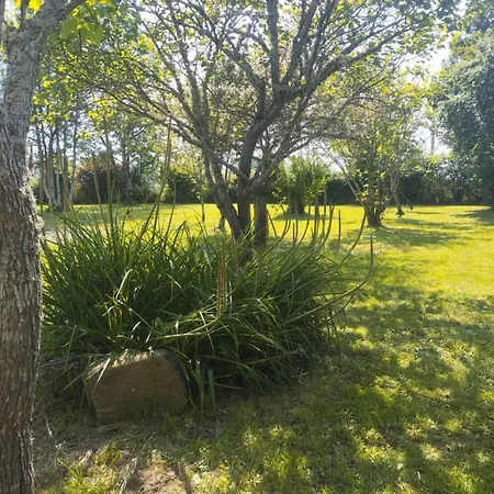 Casa rural De L'espinasse : Charme Bucolique, Animaux Acceptés - Fr-1-489-535 Bourbon-lʼArchambault