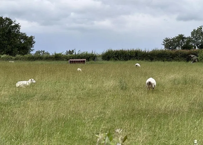 De L'espinasse : Charme Bucolique, Animaux Acceptes - Fr-1-489-535 Dom wakacyjny